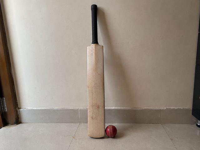 Kashmir willow cricket bat + ball