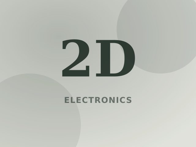 24-inch Dell monitor